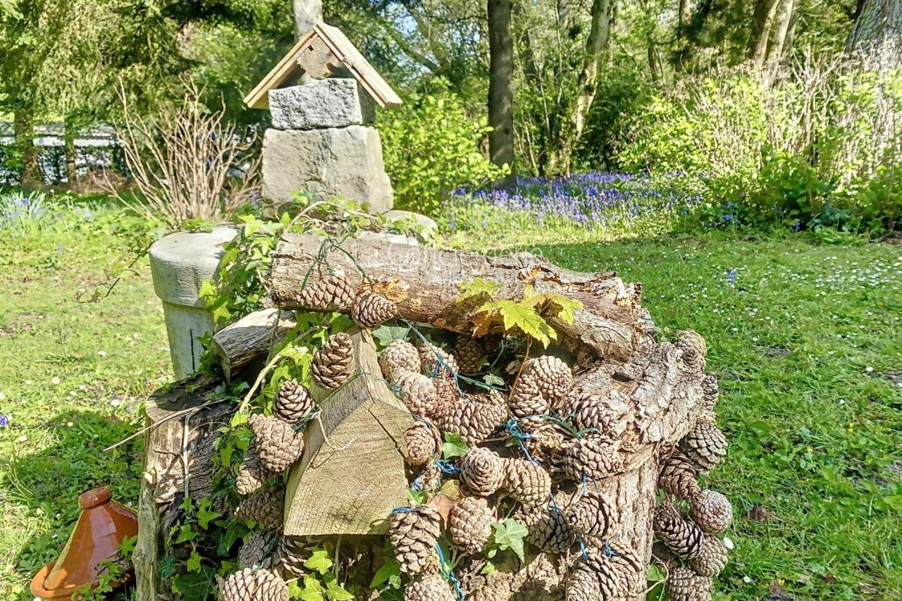Bg32 - Mer & Bois De Cise Maison Individuelle Avec Grand Jardin Ault Esterno foto