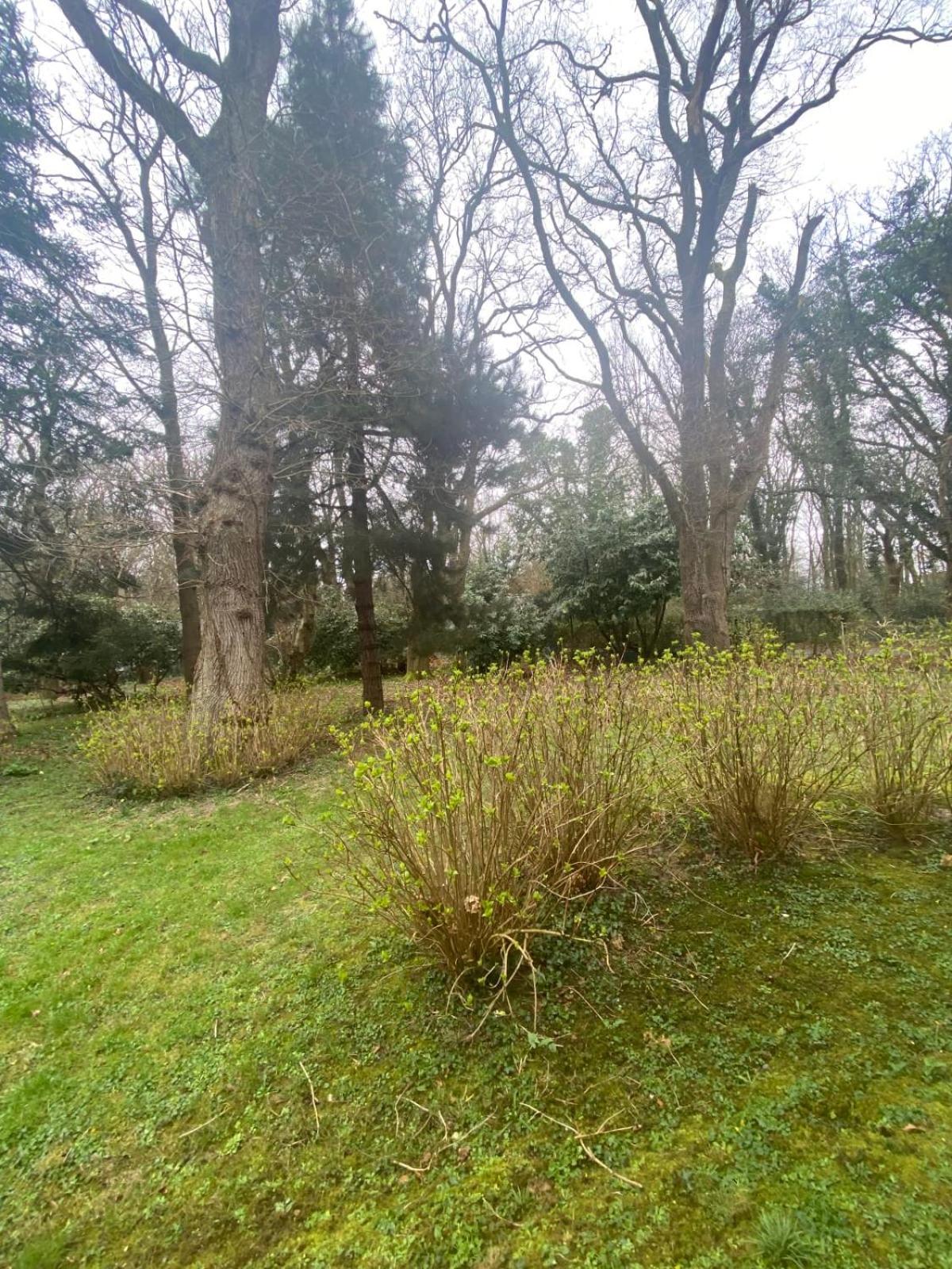 Bg32 - Mer & Bois De Cise Maison Individuelle Avec Grand Jardin Ault Esterno foto